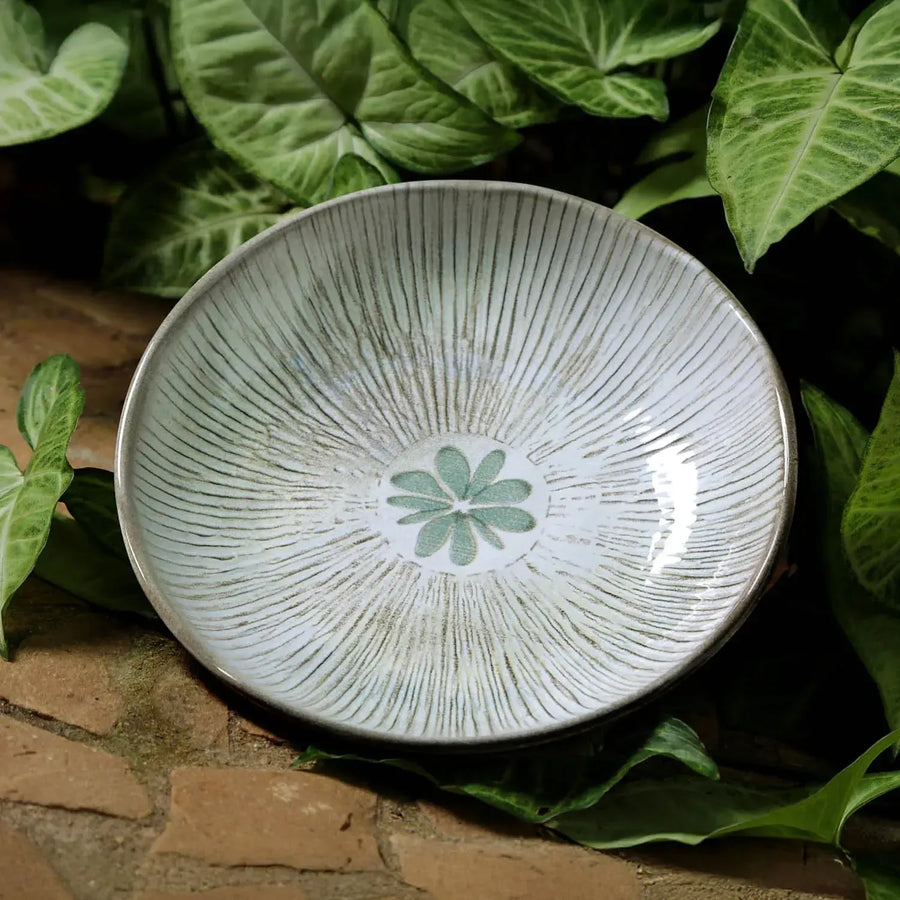 Jogo 6 Pratos Fundos Stoneware Bio Evergreen 22,5cm 830ml Porto Brasil