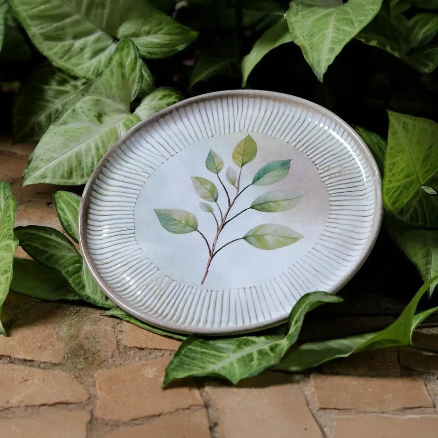 Jogo 6 Pratos de Sobremesa Stoneware Bio Evergreen 21,5cm Porto Brasil