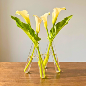 Vaso 4 Tubos em Vidro Transparente Floratório 2X25