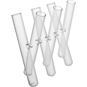 Vaso 6 Tubos em Vidro Borossilicato Transparente 23x25x5cm Home&Co