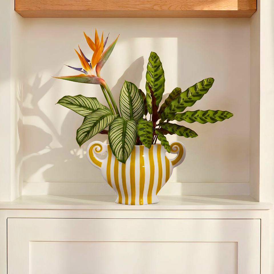 Vaso Grecco  Amarelo Spirale