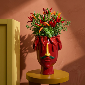 Vaso de Cerâmica Rosto Pepper Vermelho Frutti d’Arte