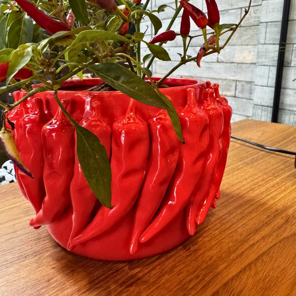 Vaso Cerâmica Pimenta Pequeno