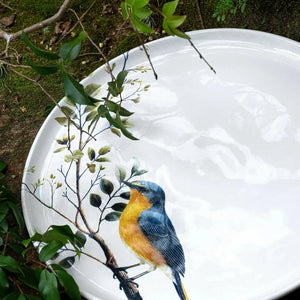 Aparelho de Jantar Stoneware Porto Brasil Mix & Match - Bella & Birdy (30 Peças)