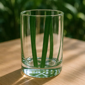 Conjunto 6 Copos Baixos Vidro Transparente com Faixas Verdes 280ml