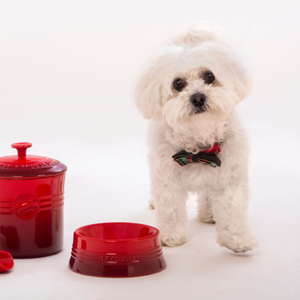 Bowl para Pet Cerâmica Vermelho 250ml Le Creuset