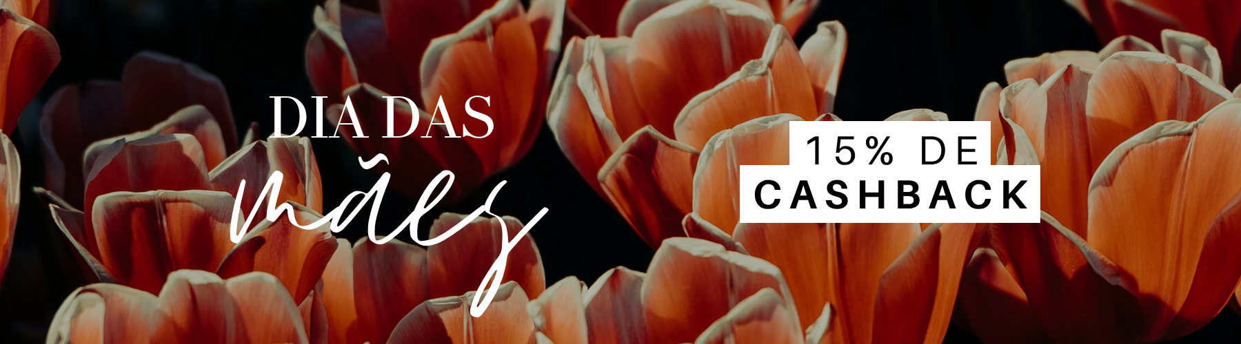 HOME_desk_ce2f7821-2f89-4cda-b5c9-d257fcb6a31e