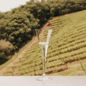 Jogo 2 Taças Mozart em Puro Cristal para Espumante Roitter 230ml