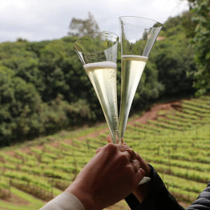 Jogo 2 Taças Mozart em Puro Cristal para Espumante Roitter 230ml