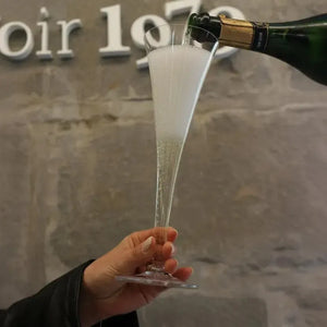 Jogo 2 Taças Mozart em Puro Cristal para Espumante Roitter 230ml