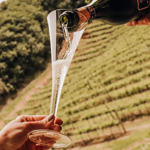 Jogo 2 Taças Mozart em Puro Cristal para Espumante Roitter 230ml