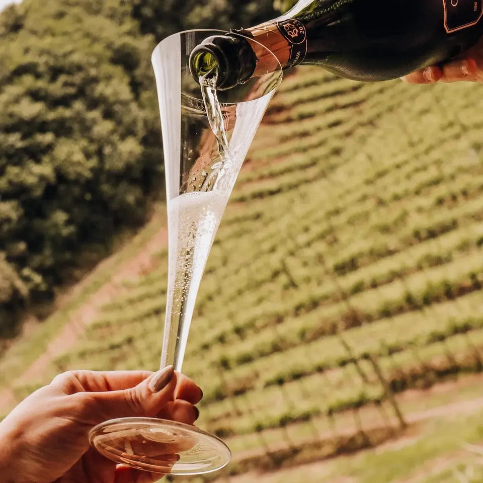 Jogo 2 Taças Mozart em Puro Cristal para Espumante Roitter 230ml