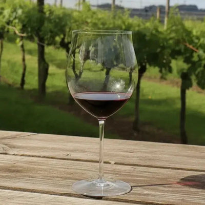 Jogo 2 Taças Mozart em Puro Cristal para Romanée Conti 1050ml