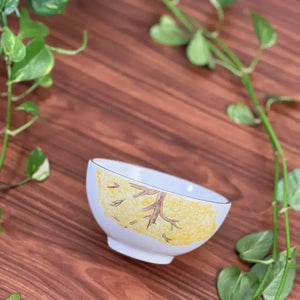 Jogo 6 Bowls Cerâmica Cerâmica com Filete Ouro Ypê Colorido 450ml Scalla