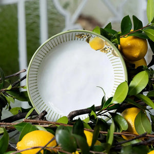 Jogo 6 Pratos Fundos Stoneware Bio Lemon 22,5cm 830ml Porto Brasil