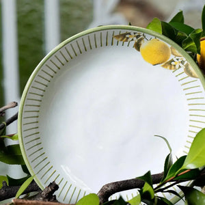 Jogo 6 Pratos Fundos Stoneware Bio Lemon 22,5cm 830ml Porto Brasil