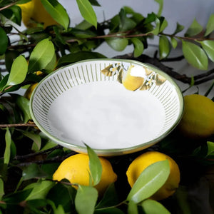 Jogo 6 Pratos Fundos Stoneware Bio Lemon 22,5cm 830ml Porto Brasil