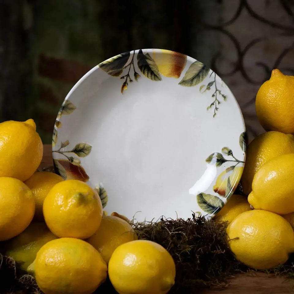 Jogo 6 Pratos Fundos Stoneware Bio Limonata 22,5cm 830ml Porto Brasil