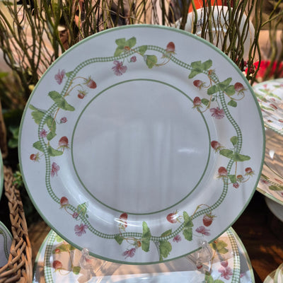 Jogo 6 Pratos Rasos Cerâmica Picnic 29cm Alleanza