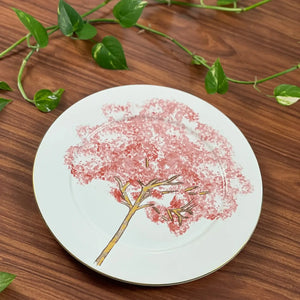 Jogo 6 Pratos Rasos Cerâmica Ypê Colorido com Filete de Ouro 28cm Scalla