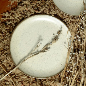 Jogo 6 Pratos Rasos Coup Cerâmica Vanilla 29cm Alleanza