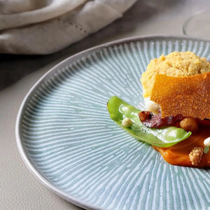 Jogo 6 Pratos Rasos Stoneware Bio Evergreen 27,5cm Porto Brasil