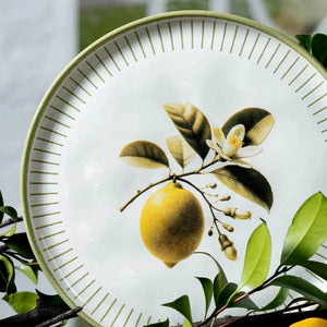 Jogo 6 Pratos Rasos Stoneware Bio Lemon 27,5cm Porto Brasil