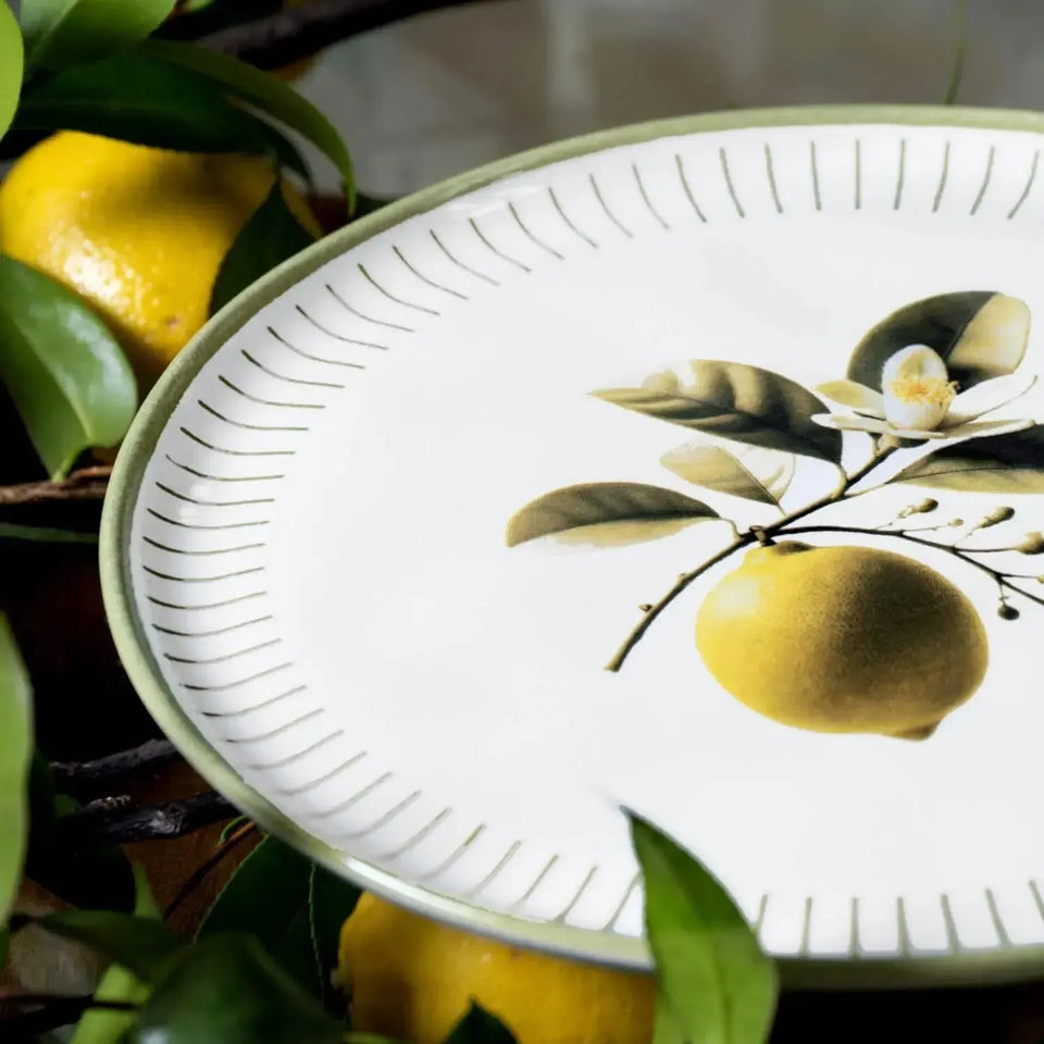 Jogo 6 Pratos Rasos Stoneware Bio Lemon 27,5cm Porto Brasil