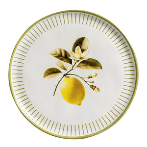 Jogo 6 Pratos Rasos Stoneware Bio Lemon 27,5cm Porto Brasil