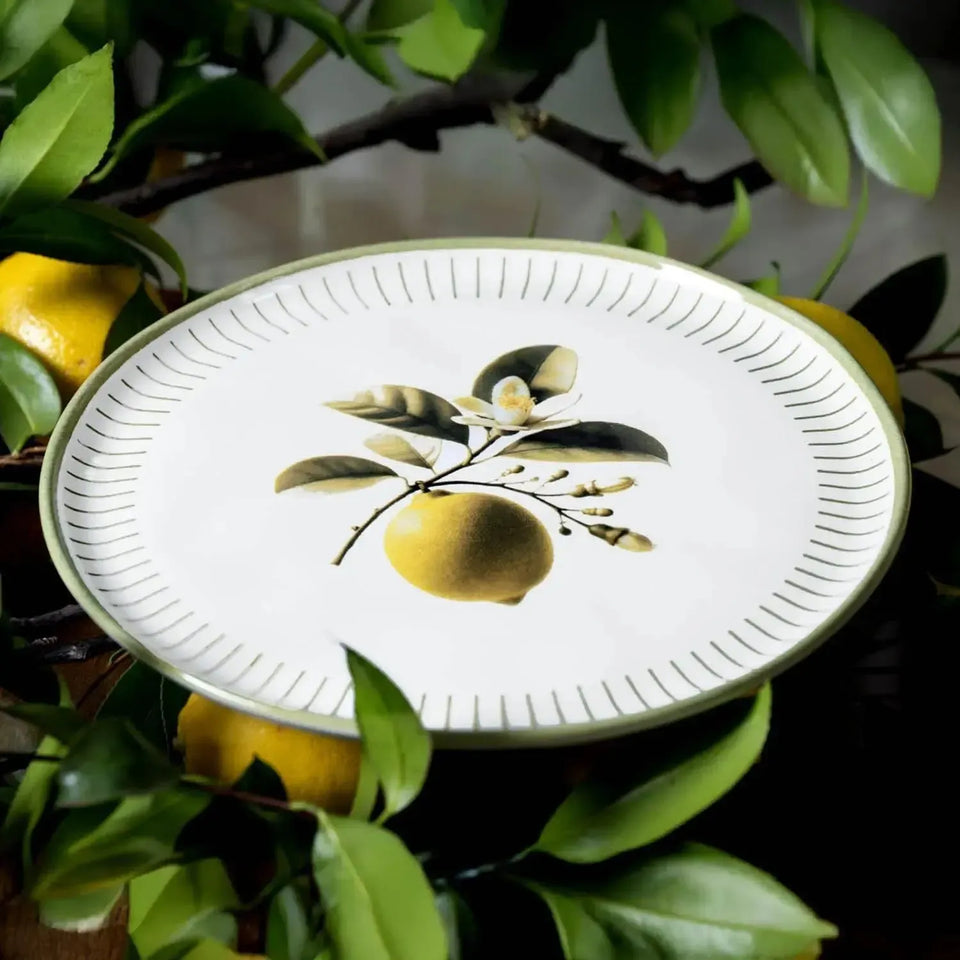 Jogo 6 Pratos Rasos Stoneware Bio Lemon 27,5cm Porto Brasil
