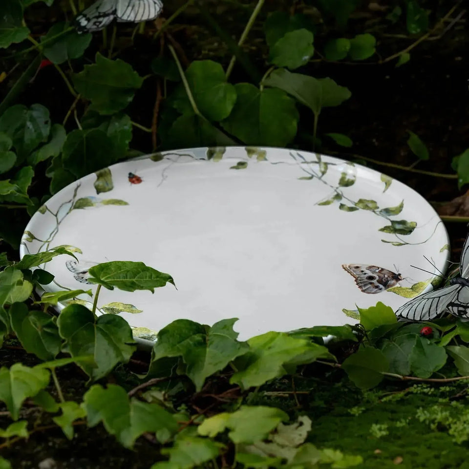 Jogo 6 Pratos Rasos Stoneware Bio Sereno 27,5cm Porto Brasil