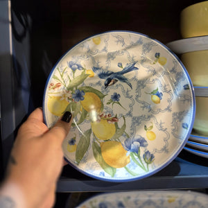 Jogo 6 Pratos Sobremesa Coup Cerâmica Sicilia 21cm Alleanza