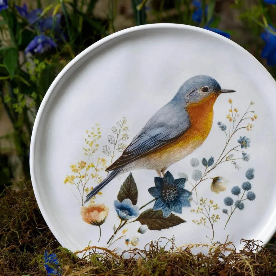 Jogo 6 Pratos de Sobremesa Stoneware Bio Bella 21,5cm Porto Brasil