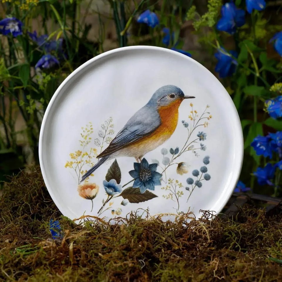 Jogo 6 Pratos de Sobremesa Stoneware Bio Bella 21,5cm Porto Brasil