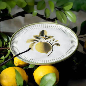 Jogo 6 Pratos de Sobremesa Stoneware Bio Lemon 21,5cm Porto Brasil