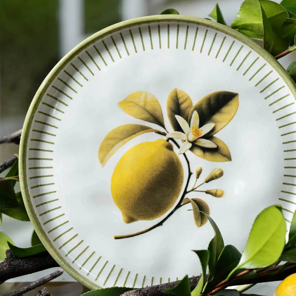 Jogo 6 Pratos de Sobremesa Stoneware Bio Lemon 21,5cm Porto Brasil
