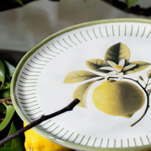 Jogo 6 Pratos de Sobremesa Stoneware Bio Lemon 21,5cm Porto Brasil