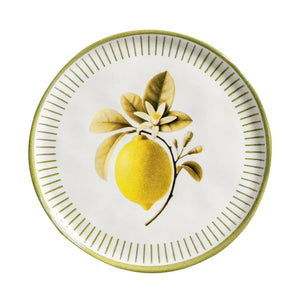 Jogo 6 Pratos de Sobremesa Stoneware Bio Lemon 21,5cm Porto Brasil