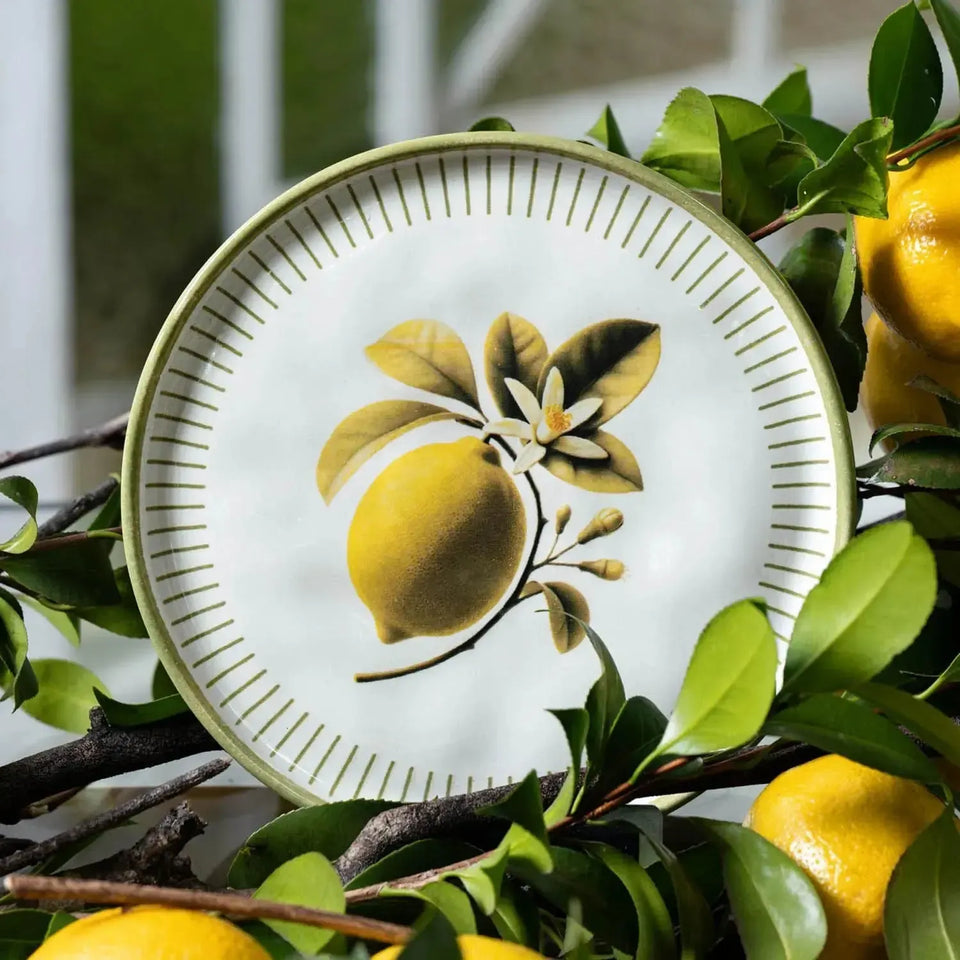 Jogo 6 Pratos de Sobremesa Stoneware Bio Lemon 21,5cm Porto Brasil