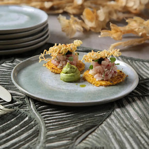 Jogo 6 Pratos de Sobremesa Stoneware Bio Moss 21,5cm Porto Brasil