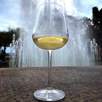 Jogo 6 Taças de Vinho Branco em Cristal Bohemia Margaux 450ml