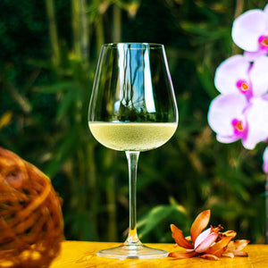 Jogo 6 Taças de Vinho Branco em Cristal Bohemia Margaux 450ml