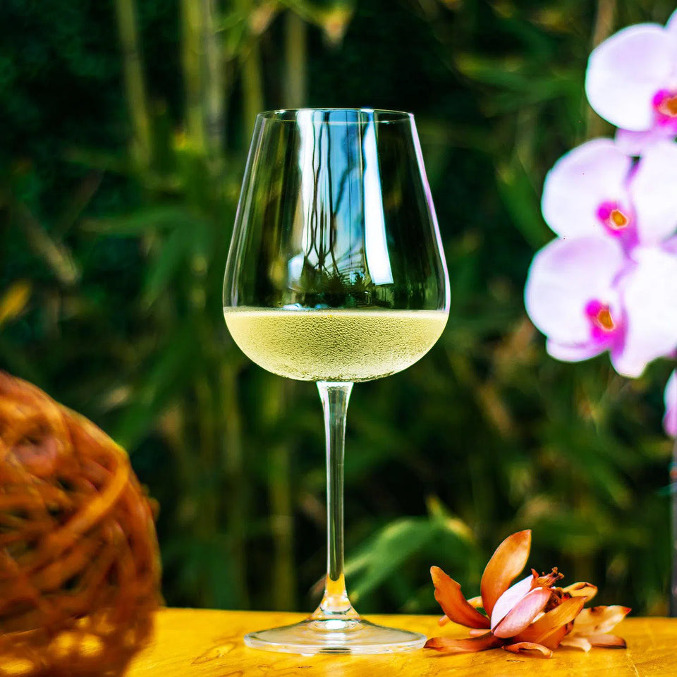 Jogo 6 Taças de Vinho Branco em Cristal Bohemia Margaux 450ml