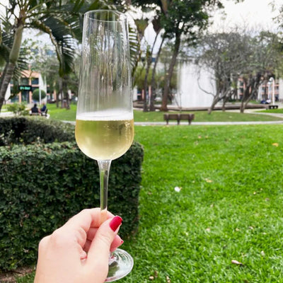 Jogo 6 Taças para Espumante em Cristal Bohemia Margaux 220ml