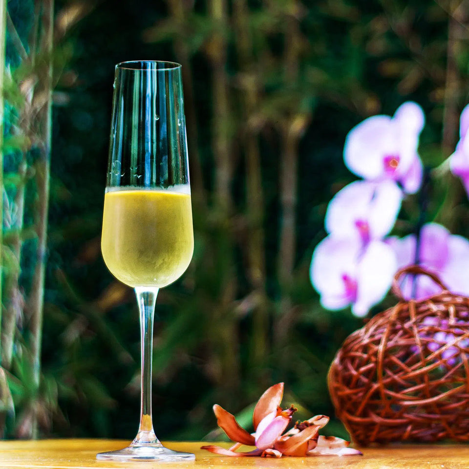 Jogo 6 Taças para Espumante em Cristal Bohemia Margaux 220ml