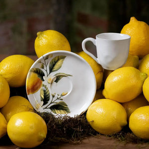 Jogo 6 Xícaras de Café Stoneware Bio Limonata 120ml Porto Brasil