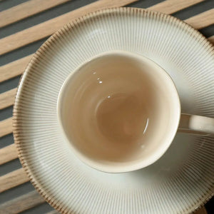 Jogo 6 Xícaras de Chá Stoneware Bio Raio 210ml Porto Brasil