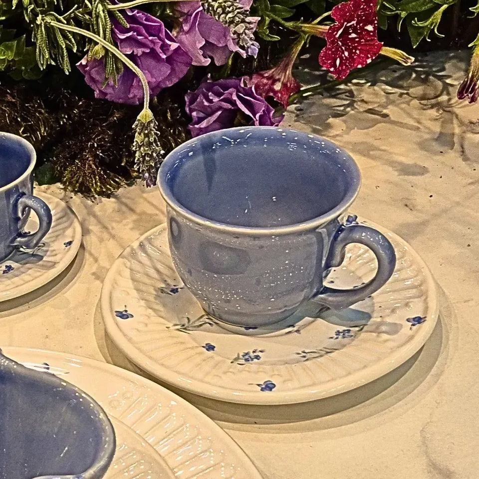 Jogo 6 Xícaras de Chá com Pires Cerâmica Provence 300ml Scalla