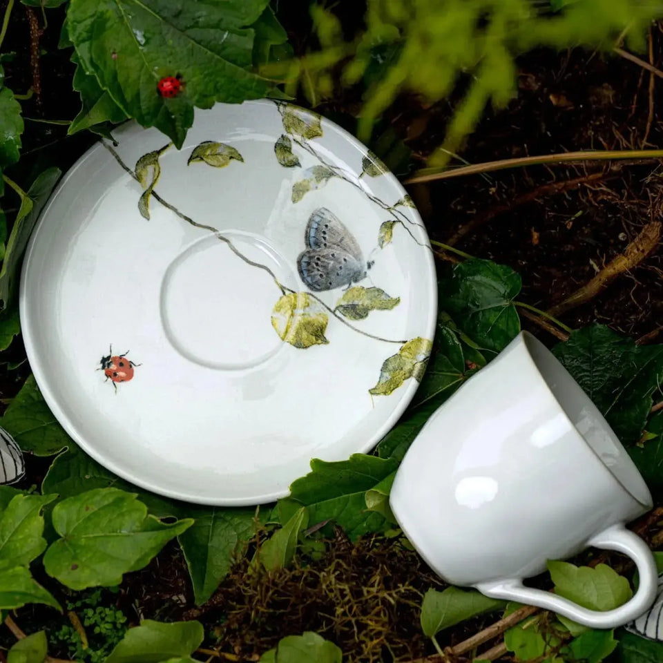 Jogo 6 Xícaras de Chá com Pires Stoneware Bio Sereno 210ml Porto Brasil