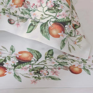 Jogo de Cama Casal Arancia 4 Pçs 300 Fios 100% Algodão Trussardi